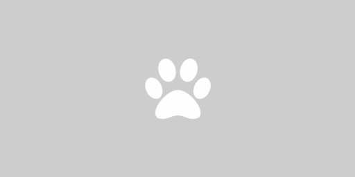 Your Pets Paradise - Premium Pet Supplies Store